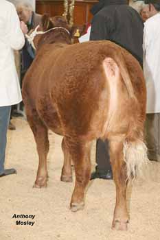 ANM-WWF-1209-1706