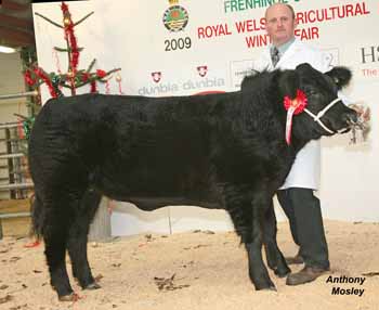 ANM-WWF-1209-1738