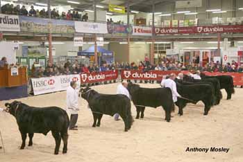ANM-WWF-1209-1825