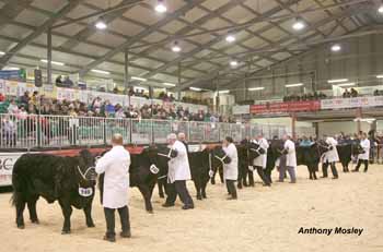 ANM-WWF-1209-1828