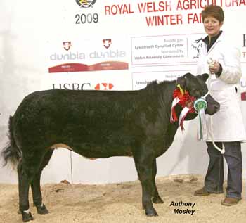 ANM-WWF-1209-2161