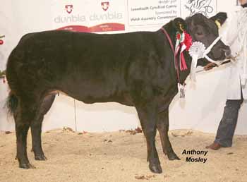 ANM-WWF-1209-2194