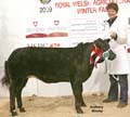 ANM-WWF-1209-2161