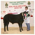 ANM-WWF-1210-0563