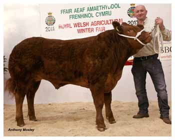 ANM-WWF-1111-3670