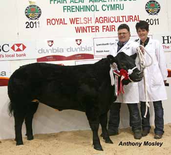 ANM-WWF-1111-4004