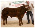 ANM-WWF-1111-3670