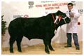 ANM-WWF-1111-3760