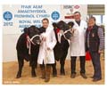 ANM-WWF-1112-7453