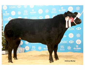 ANM-WWF-1214-0871