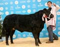 ANM-WWF-1214-0415