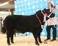 ANM-WWF-1214-0452