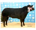 ANM-WWF-1214-0871