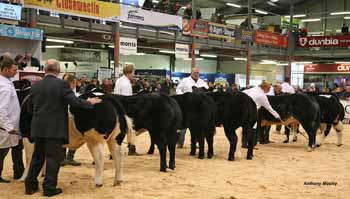 ANM-WWF-1215-0958