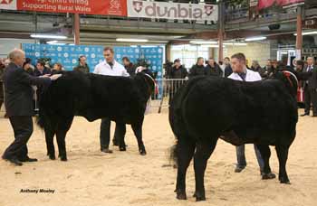 ANM-WWF-1215-0988