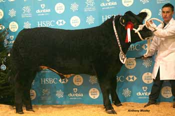 ANM-WWF-1215-1375