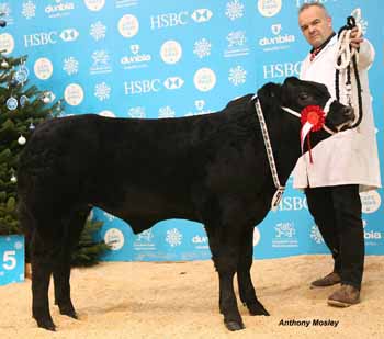 ANM-WWF-1215-1624