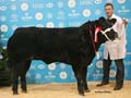 ANM-WWF-1215-1015