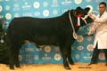 ANM-WWF-1215-1375