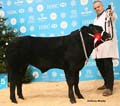 ANM-WWF-1215-1624