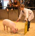 IMG_1485