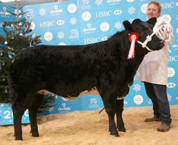 ANM-WWF-1116-0238