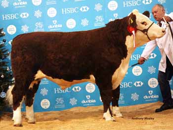 ANM-WWF-1116-0375