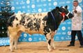 ANM-WWF-1116-0093