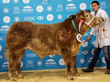 ANM-WWF-1117-1080