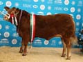 ANM-WWF-1117-1359