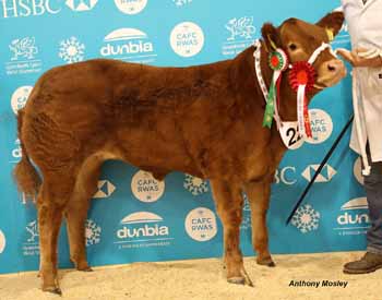 ANM-WWF-1118-5475