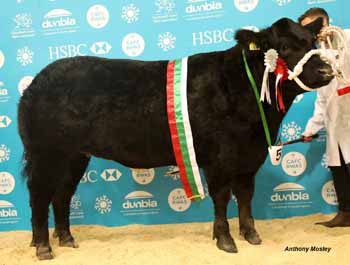 ANM-WWF-1118-5717