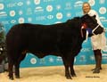 ANM-WWF-1118-4938
