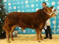 ANM-WWF-1118-5094