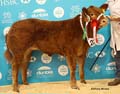ANM-WWF-1118-5475