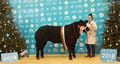 ANM-WWF-1118-5861