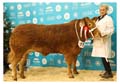 ANM-WWF-1118-5921