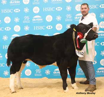 ANM-WWF-1119-1314