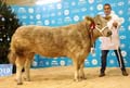 ANM-WWF-1119-0315
