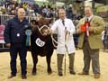 ANM-WWF-1119-0986