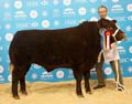 ANM-WWF-1119-1017