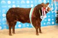 ANM-WWF-1119-1396