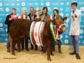 ANM-WWF-1119-1469