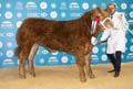 ANM-WWF-1119-SAO7V4644